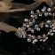 Tiara mireasa design floral unicat placata cu cristale si aur 14k#4